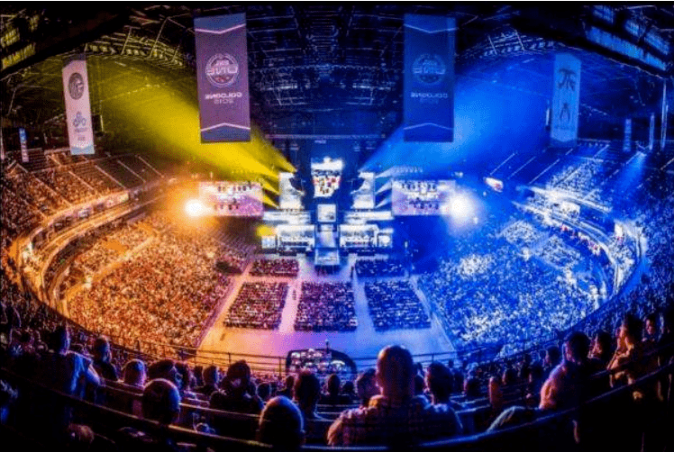 适应到成熟 适应到成熟